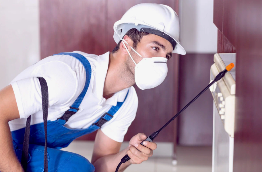 Lake Jackson local pest services