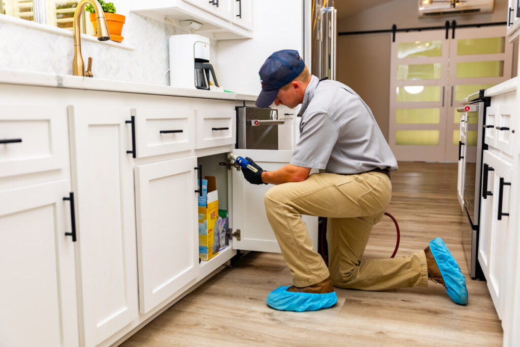 Lake Jackson xpert pest management